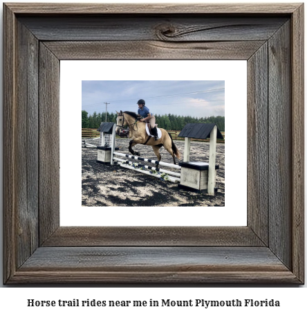 horse trail rides near me in Mount Plymouth, Florida